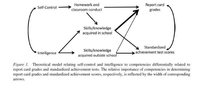 Ce qu'aucun enfant laissé derrière ne laisse les rôles du QI et de la maîtrise de soi pour prédire les résultats des tests de réussite normalisés et les notes de rapport