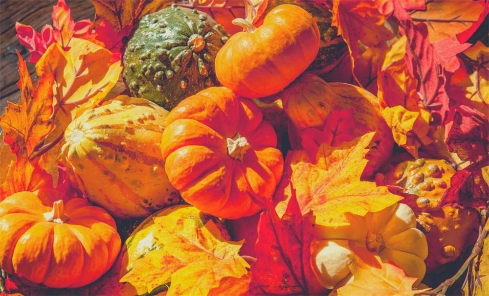Top 10 Páginas para colorear de otoño para una actividad divertida, otoño, interior