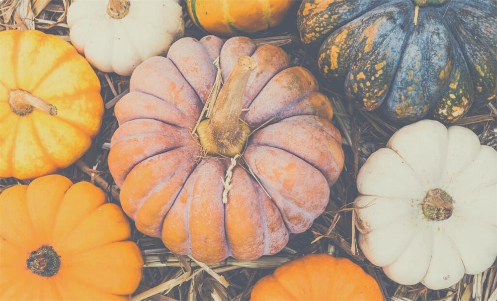 Top 10 pagine da colorare di zucca stampabili per bambini e adulti